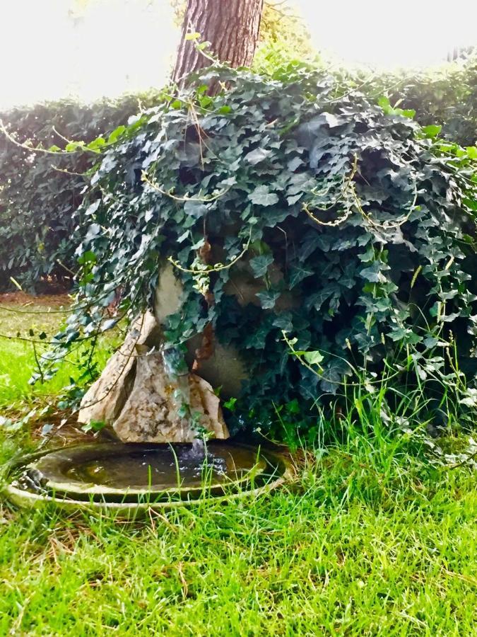 تْشيفيتانوفا ماركي Ilpoggetto Bed&Breakfast المظهر الخارجي الصورة